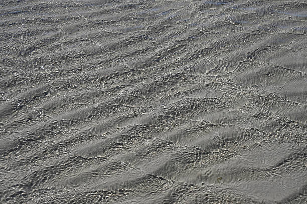 The image presents a close-up, high-angle view of a sand surface exhibiting a subtle wave-like pattern. The texture is predominantly smooth with varying degrees of grain visibility. The color palette is monochromatic, ranging from light to dark shades of grey.  The overall impression is one of subtle textural detail and a sense of calm.  The image is sharply focused throughout, revealing the intricate surface details. The lighting appears even, lacking harsh shadows or highlights. The composition is centered, filling the frame with the sand texture.