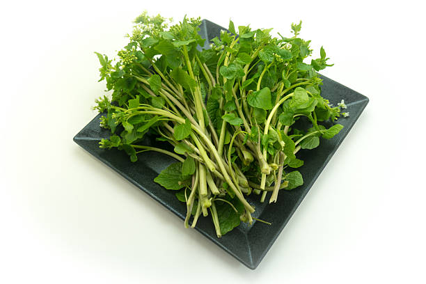 Flower wasabi on a plate