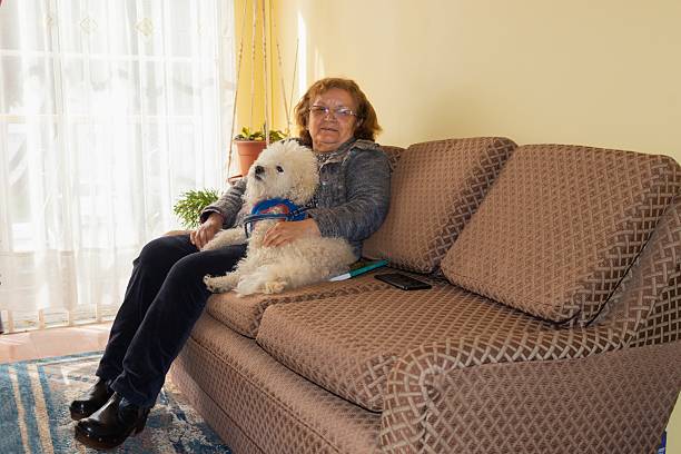 istock old woman sitting on the sofa next to her dog 2236185966