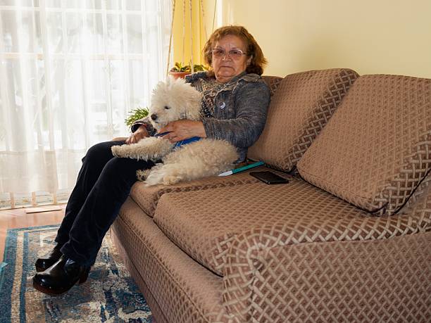istock old woman sitting on the sofa next to her dog 2236186222