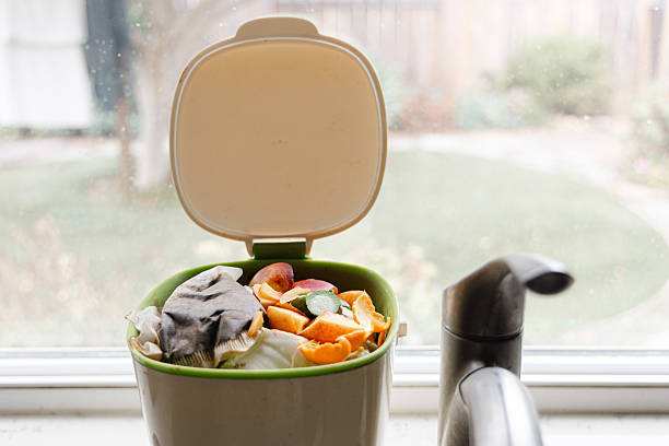 Kitchen compost bin and food scraps