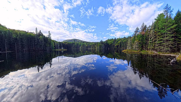 istock Still lake in the wilderness surrounded by dense forest 2236191474