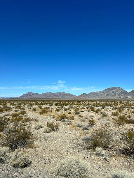 istock The desert landscape features a clear blue sky and a serene mountainous background 2236192551