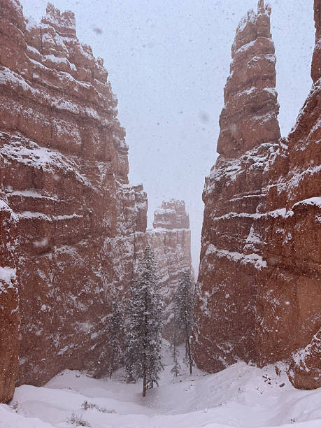 istock Stunning Snowy Canyon Landscape Featuring Breathtaking Red Rock Formations in Winter 2236192599