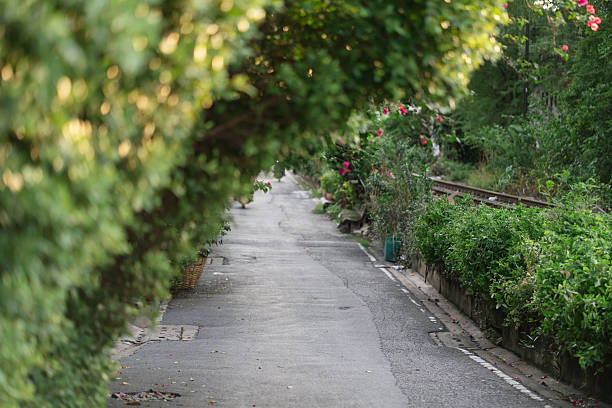 istock Narrow pathway beside old train tracks surrounded by green bushes and trees under soft sunlight. 2236196556