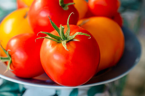 istock Harvested many tomatoes in a plate 2236200137