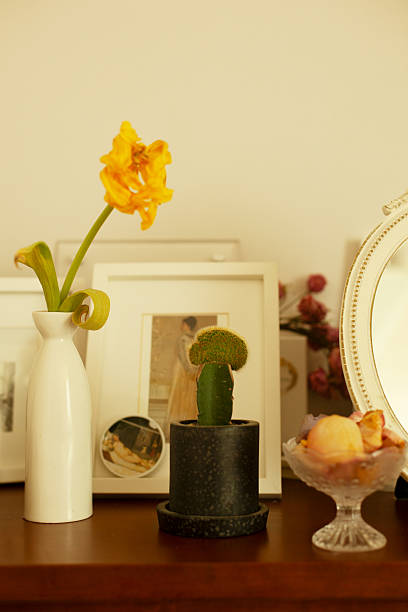 istock Cozy Home Corner with a Unique Cactus and Dried Yellow Flower 2236201919