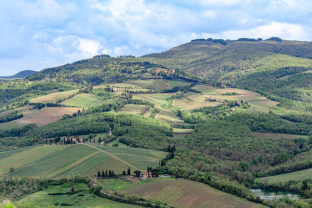 Rolling hills and lush vineyards of Tuscany under a bright cloudy sky.