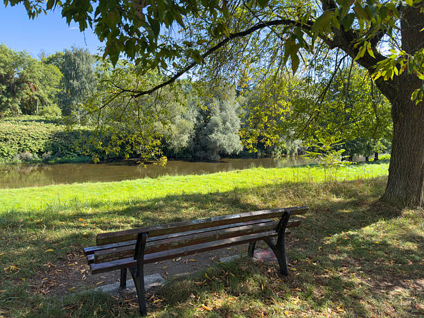istock Wooden bench in Zwickau Mulde river flows through Saxony 2236202437
