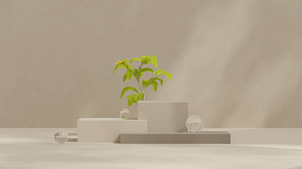 istock Eco podium display with plant and geometric shapes 2236205712