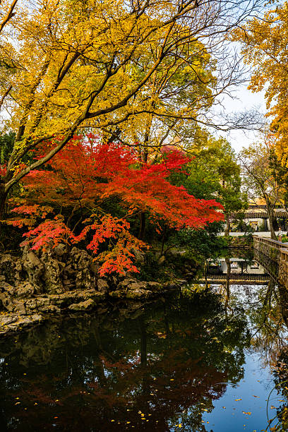 istock Humble Administrator's Garden in Suzhou 2236205803