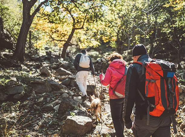 istock Nordic Walking With A Stick As Pole 2236206691