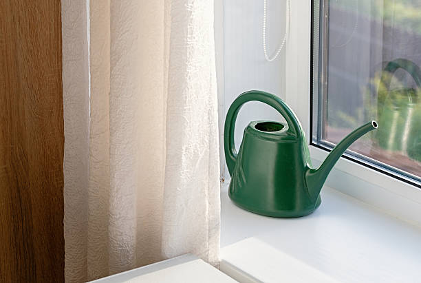 istock green plastic watering can on windowsill in sunlight, indoor minimalist scene. 2236208403