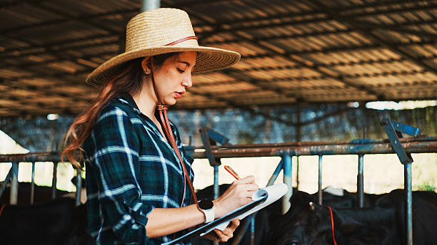 istock Young Woman Writing In Digital Tablet While Standing By Cows At Farm. 2236209470