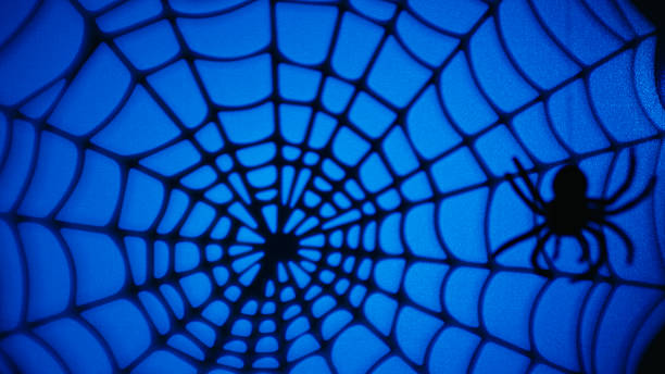 Silhouette of a spider descending on Halloween night. High quality 4k footage