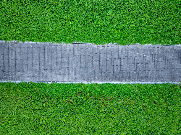 istock Green lawn and stone paved walking path in the park 2236212896