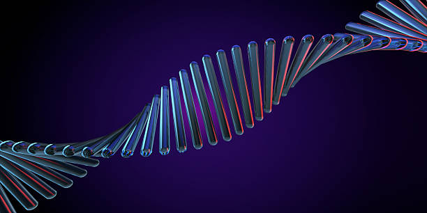 istock DNA double helix, abstract genetic 3D structure design on a dark background. 2236216639