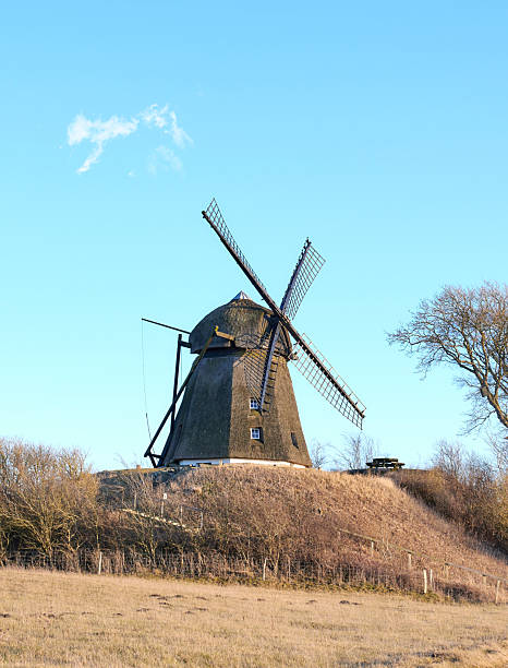 An iconic historical windmill stands tall against a pristine blue sky, nestled amid the serene winter countryside of Denmark. The setting includes dry grasslands and budding trees, bathed in calm sunlight.