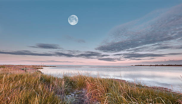 Lush Danish Coastal Landscape Under a Full Moonlit Sky and Clouds