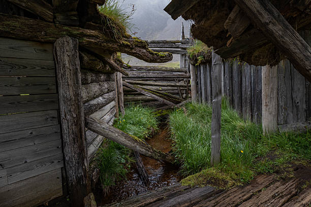istock ancient wooden hut in Iceland 2236218147