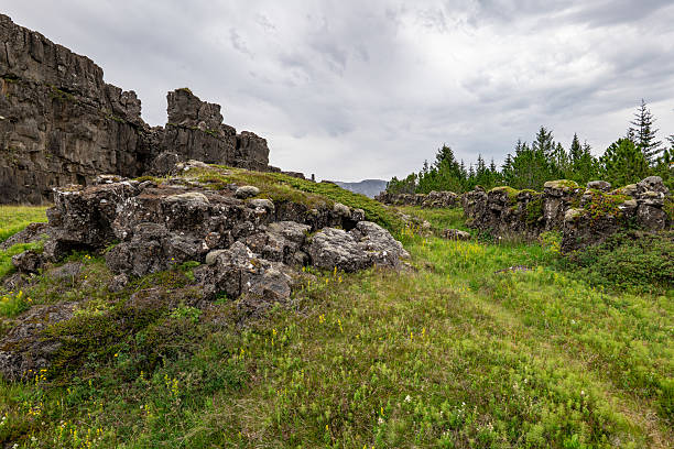 istock rock formations and grass field in Iceland 2236218159