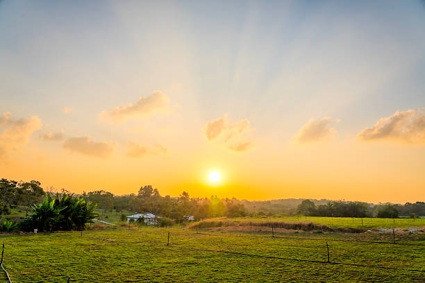 Sunset or sunrise over lush green field with a dramatic cloudy sky. Evening meadow or agricultural grass with sunlight. Countryside. Rural landscape. Farm