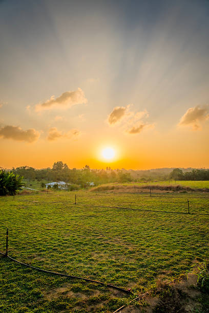 istock Sunset or sunrise over lush green field with a dramatic cloudy sky. Evening meadow or agricultural grass with sunlight. Countryside. Rural landscape. Farm 2236221066