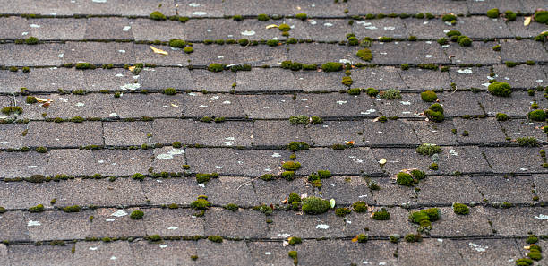 istock dirty house roof shingle as design background 2236225024