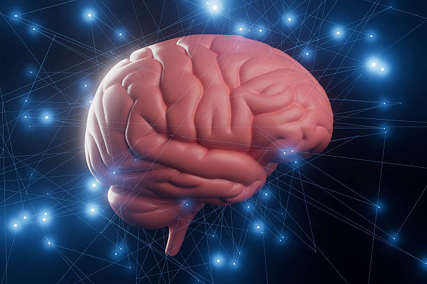 istock A brain with a blue background and a lot of lines 2236230539
