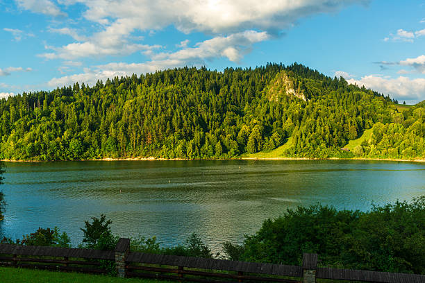 A calm summer view of Czorsztyn Lake with dense green forest and steep hillside reflecting in the water. The natural landscape highlights tranquility, fresh air, and unspoiled beauty of southern Poland.