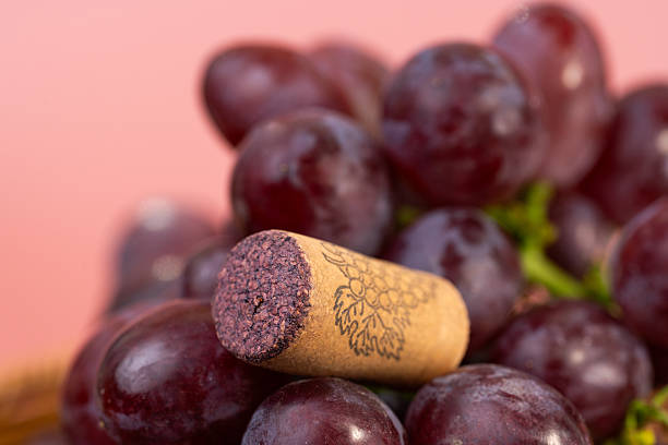 istock wine cork with bunches of grapes 2236236798