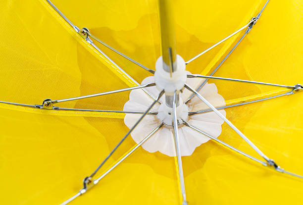 istock autumn leaves with umbrella 2236237540