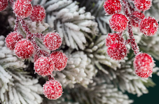 istock Christmas decoration with  red berries and spruce branches 2236237617