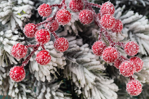 istock Christmas decoration with  red berries and spruce branches 2236237624