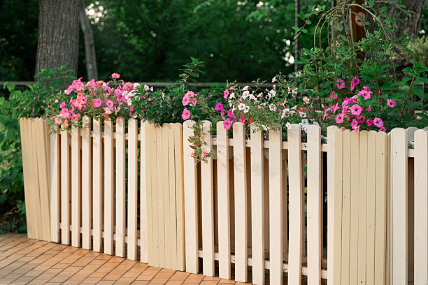 istock cottage core rustic back yard fence around floral flower bed blooming spring natural environment space sunny day time 2236241568