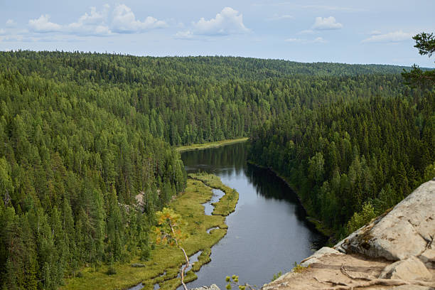 istock A Scenic River View that is Beautifully Surrounded by a Lush Green Forest Landscape 2236242131