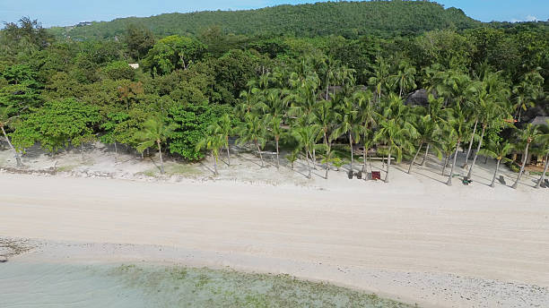 Aerial view of a beautiful tropical white sand beach, Panglao island, Philippines