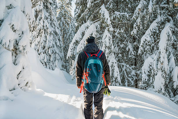 istock Senior man hiking in the winter mountain 2236243439