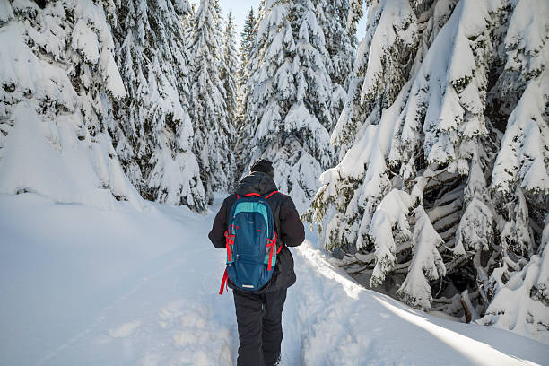 istock Senior man hiking in the winter mountain 2236243481