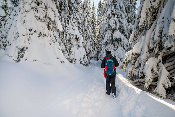 Senior man hiking in the winter mountain
