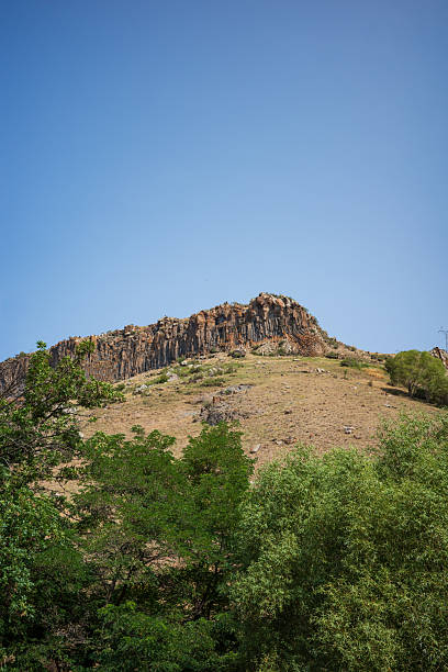 istock Rocky Mountain Ridge with Green Trees under Clear Blue Sky 2236248509