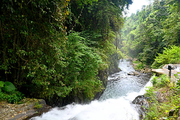 istock Aling Aling waterfall, at Buleleng regency of Bali,Indonesia 2236249201