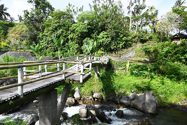 Nature river in the village, with natural bamboo bridge