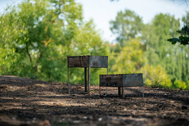 Barbecue grills standing outdoors on a forest edge, surrounded by abundant green trees under sunlight