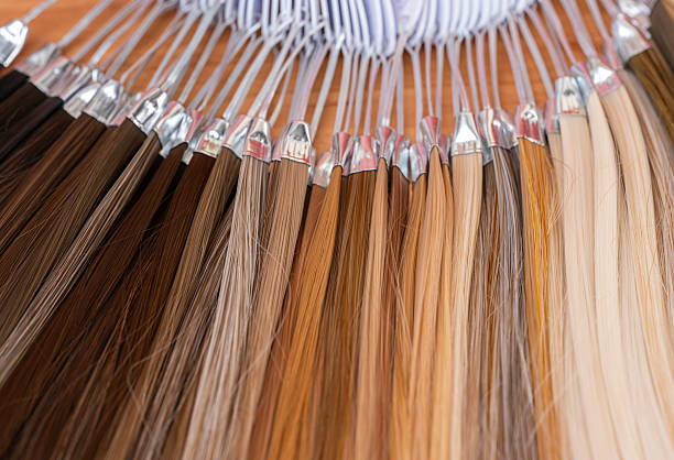 istock background hair color swatches 2236255996