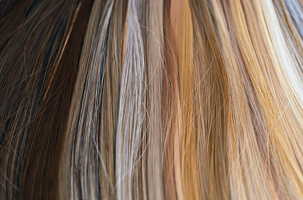 istock background hair color swatches 2236256004