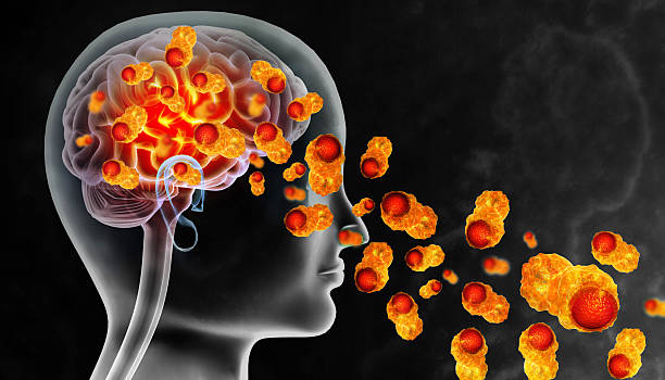 istock Visual concept of deadly brain-eating amoeba infection. 3d illustration 2236258186