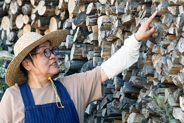 An elderly Asian woman is counting wood