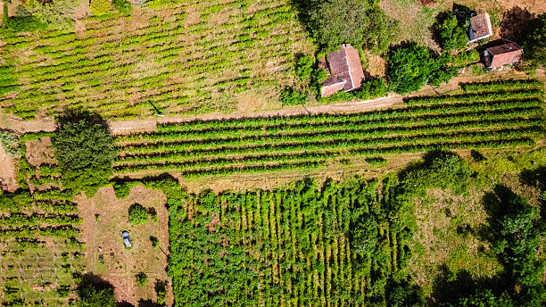 istock Villany Wineyards, Hungary 2236259249