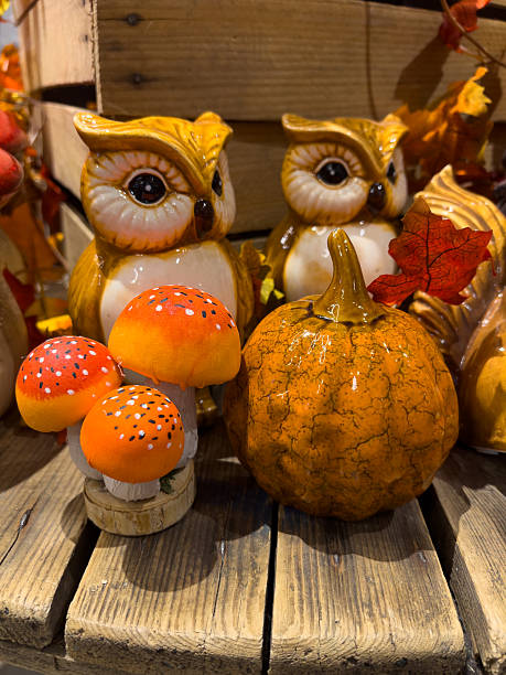 istock Owls with mushrooms and pumpkin 2236263745